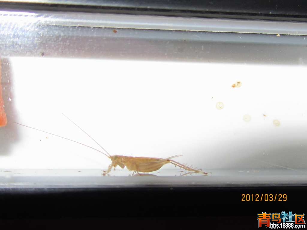 照片 085.jpg