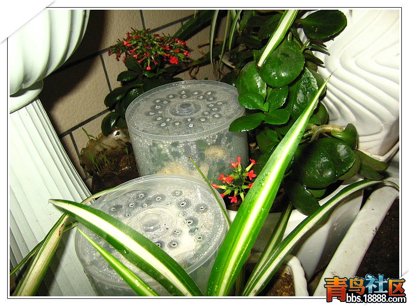 照片 004.jpg