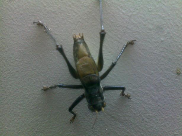 20120403298.jpg
