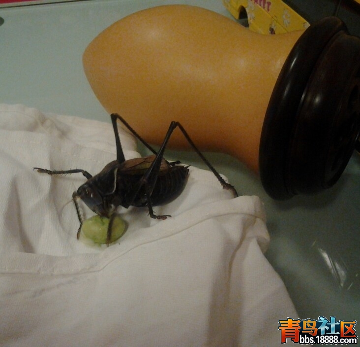 20120413_213254-1.jpg