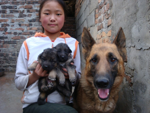 DSC06846_副本.jpg