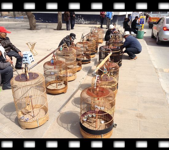 照片 120.jpg