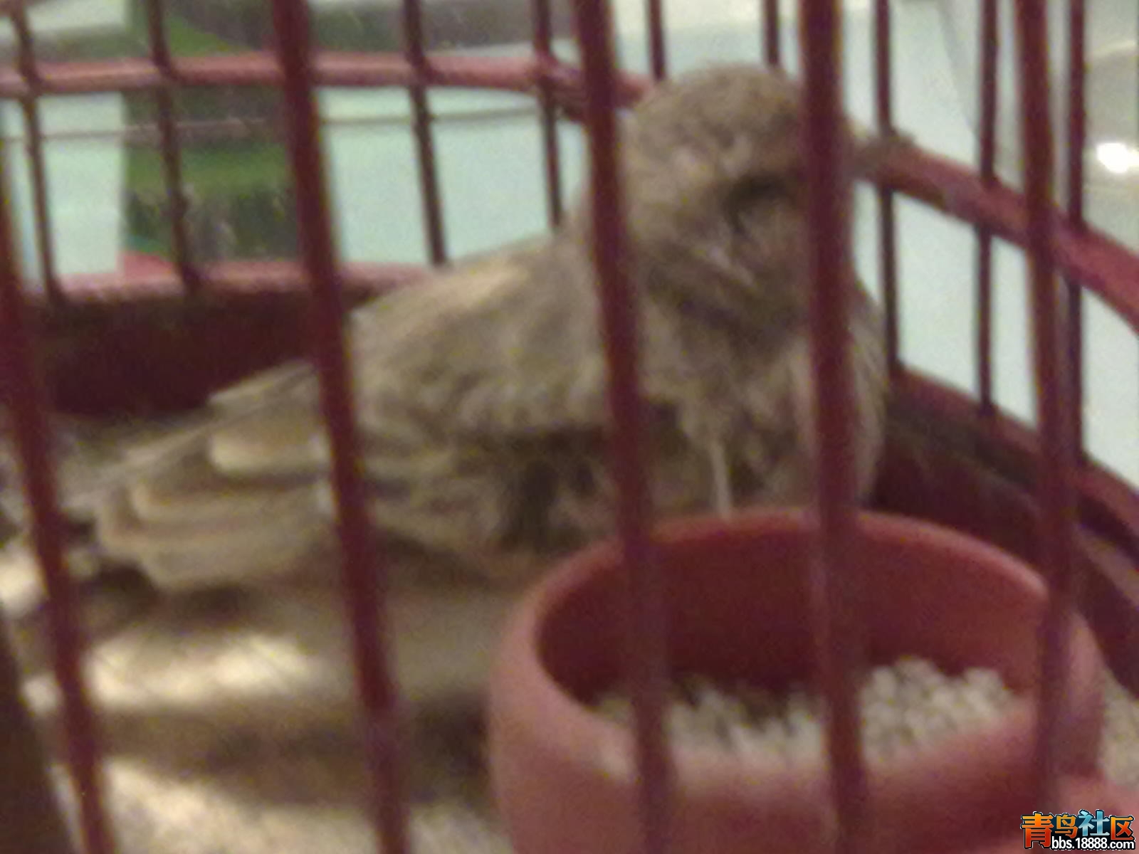 20111025765.jpg