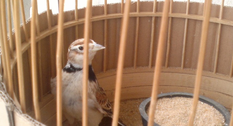 20120416979.jpg