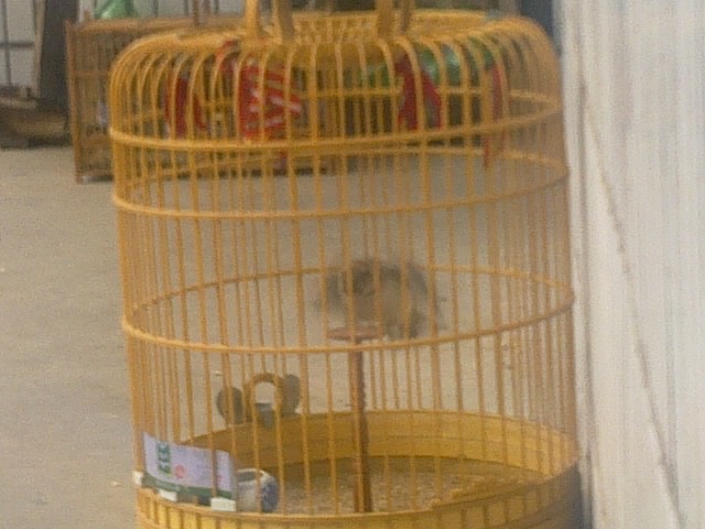 20120424349.jpg