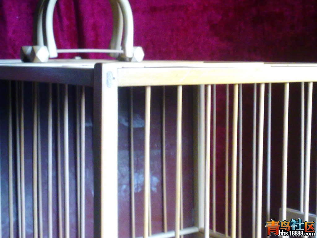 201204272397.jpg