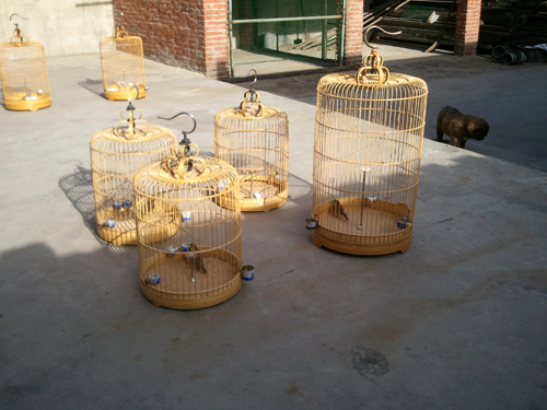 2012-04-27 16.27.46.jpg