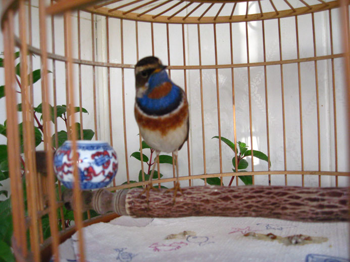 IMG_227604.jpg