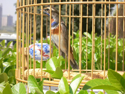 P1030383_副本.jpg