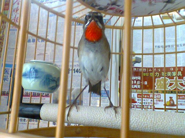 照片0576.jpg