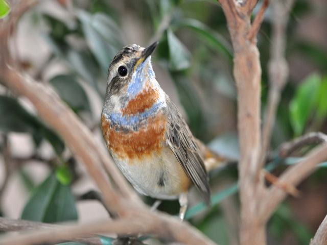DSC_1186.JPG