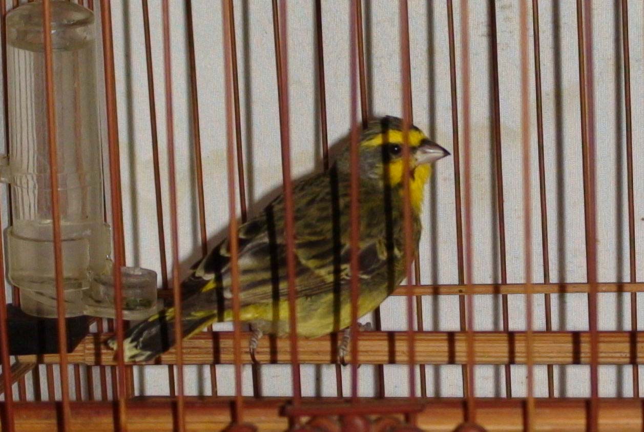 DSC03111.JPG