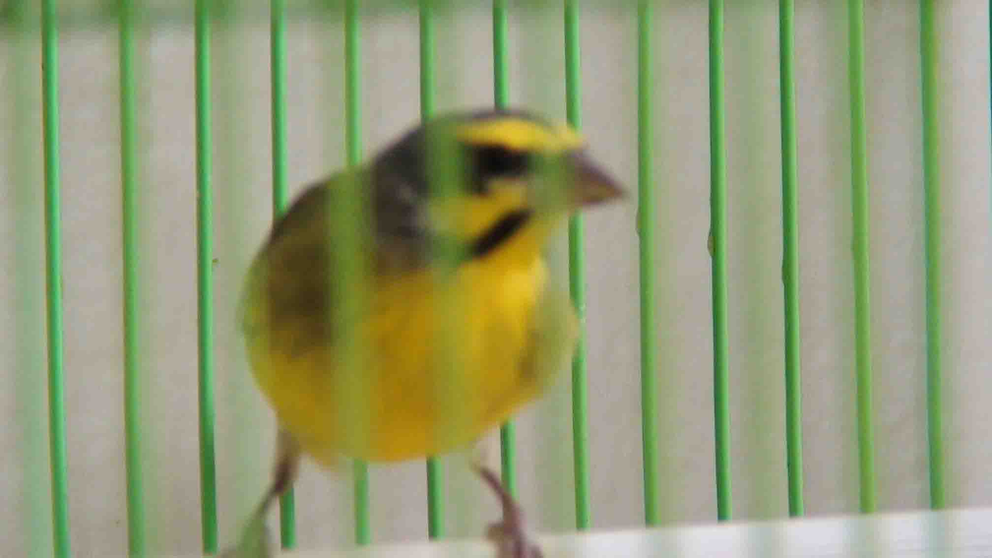 DSC03059.JPG