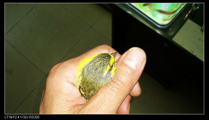 nEO_IMG_DSC_0056.jpg