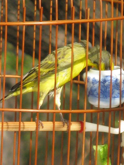 IMG_3900.JPG