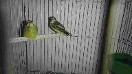 DSC00619.JPG