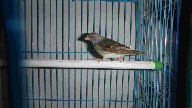 DSC00600.JPG