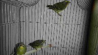DSC00620.JPG