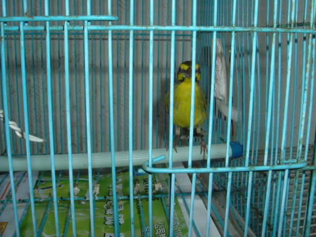 DSCF3027.JPG