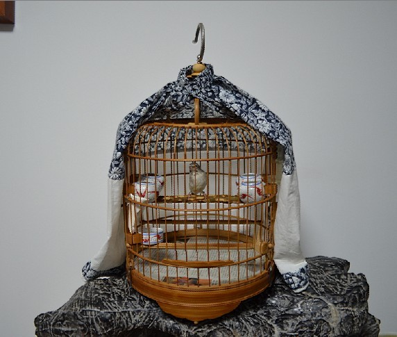 未命名3.jpg