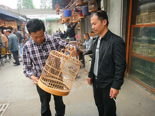DSC04744_副本.jpg