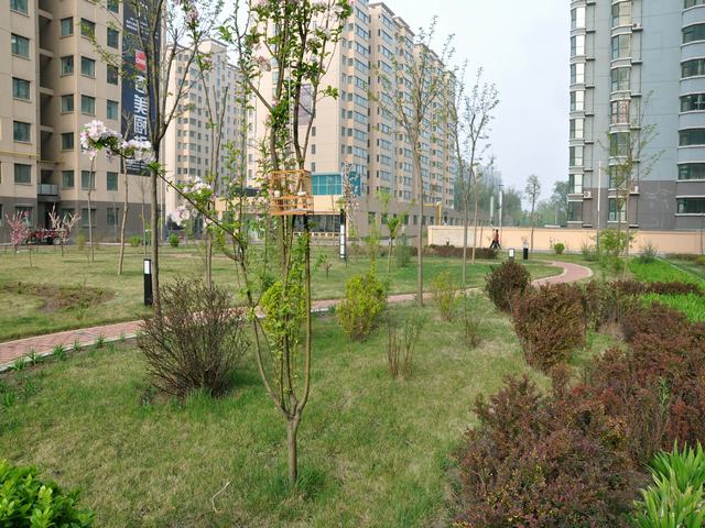DSC_1174.JPG