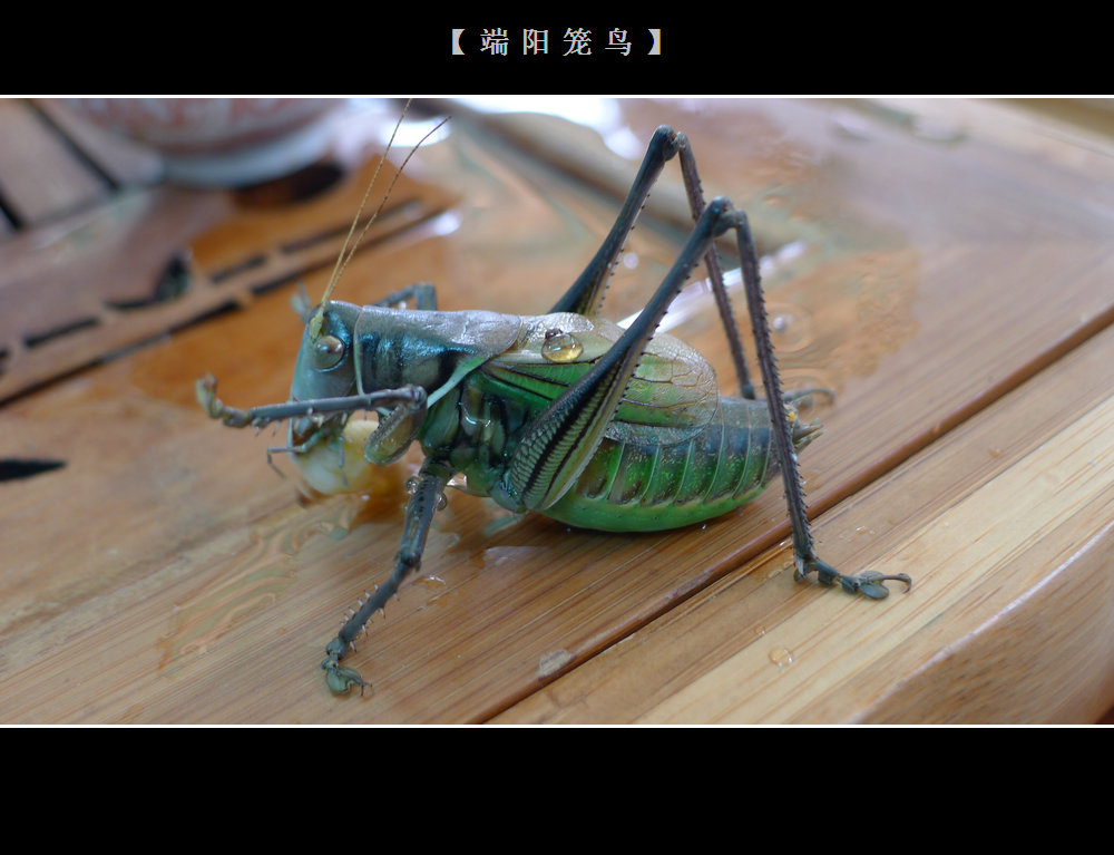 照片 002.jpg