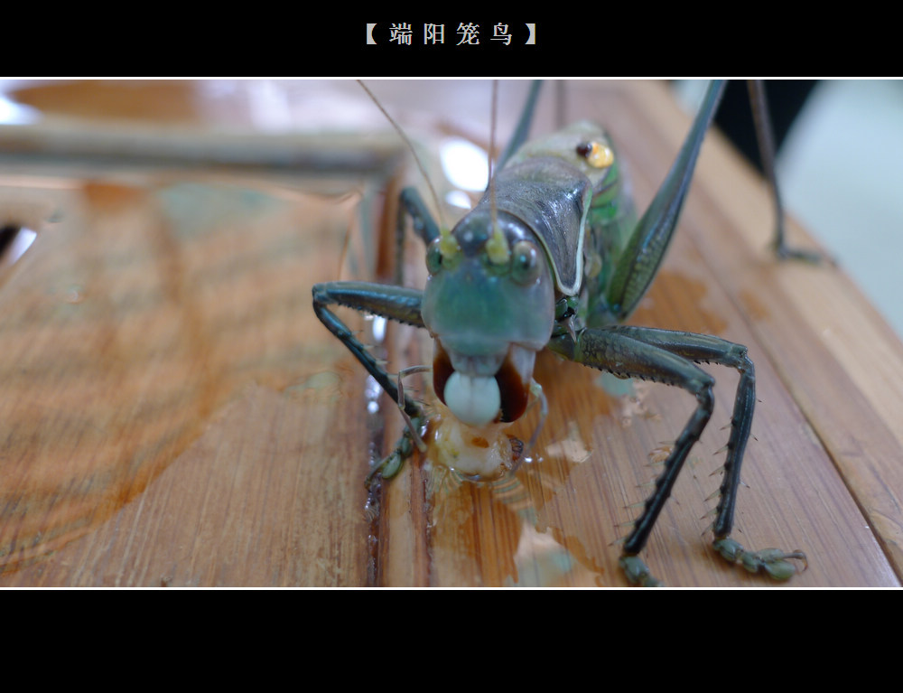 照片 010.jpg