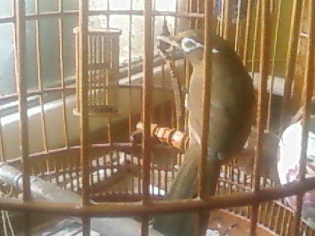 SP_A0626.jpg