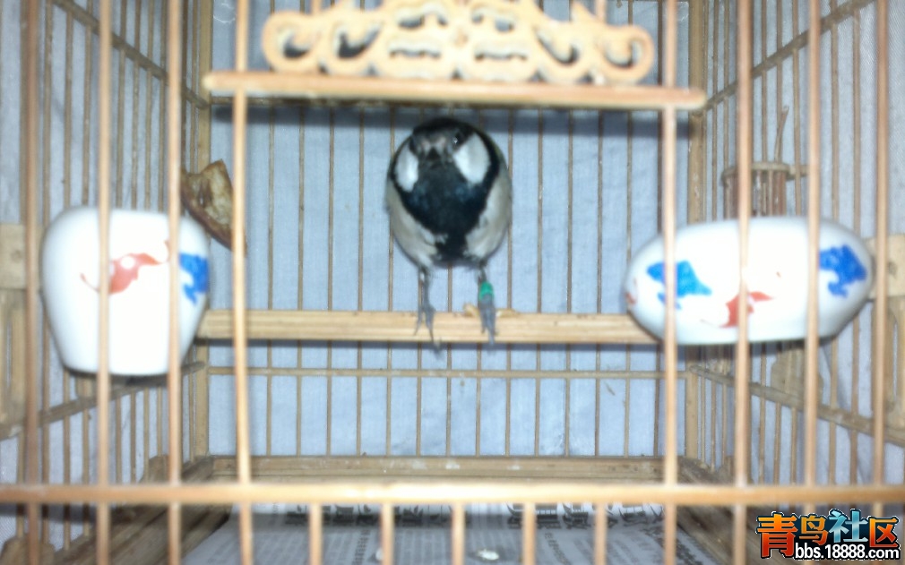201204291005.jpg
