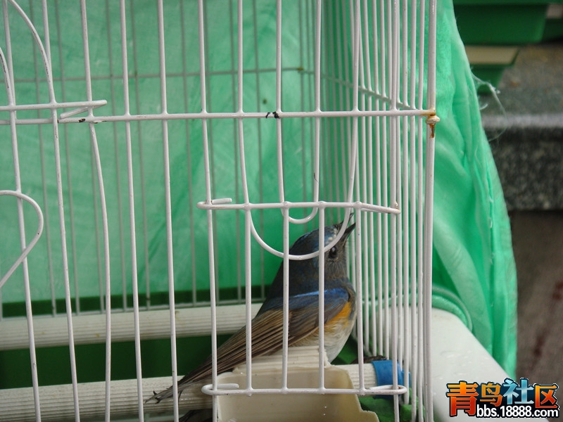 DSC05374_副本.jpg