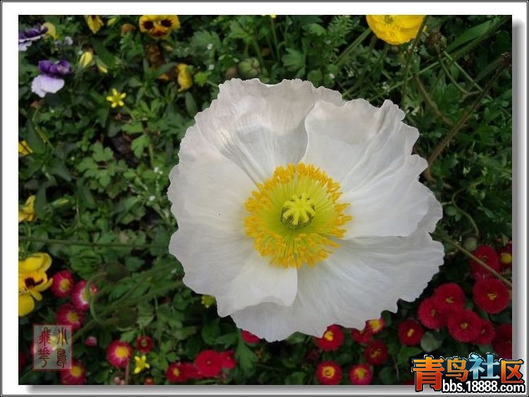 DSCF7665.jpg