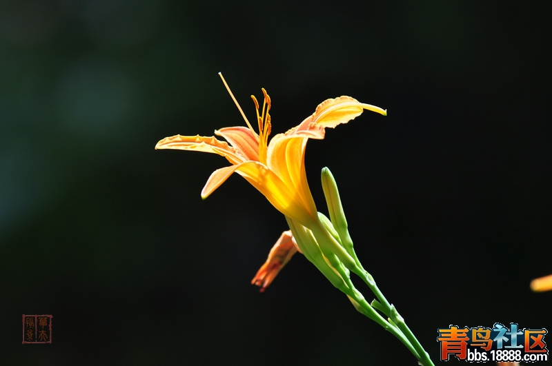2012.5.27 038.jpg