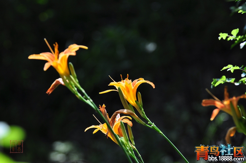2012.5.27 040.jpg