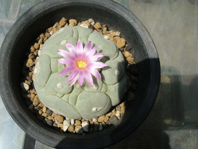 照片 2443.jpg