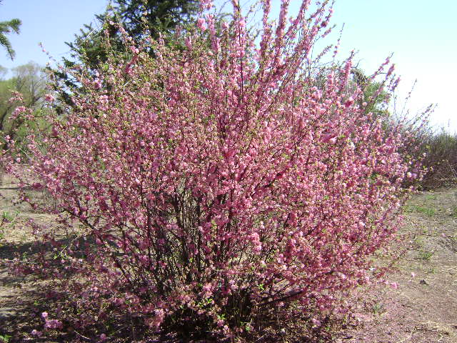 DSC06560.JPG