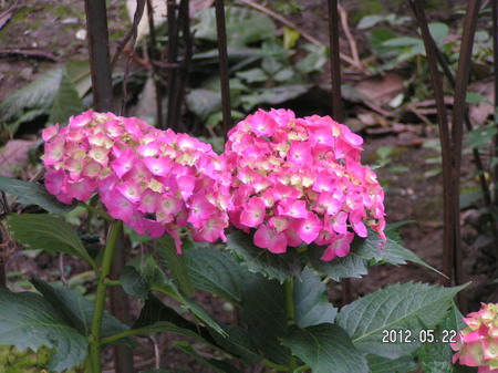 PICT0066_缩小大小.JPG