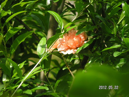 PICT0057_缩小大小.JPG