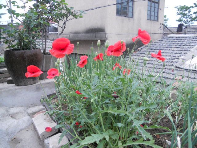 DSCN2095.JPG