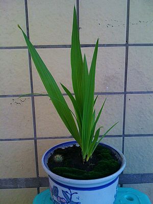 nEO_IMG_IMG_0230.jpg