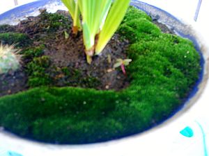 nEO_IMG_IMG_0232.jpg