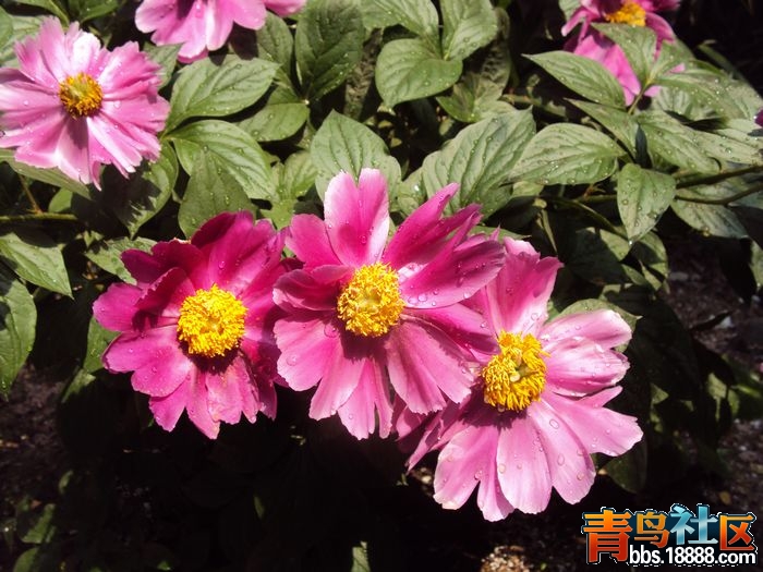 照片 我的照片3 079.jpg