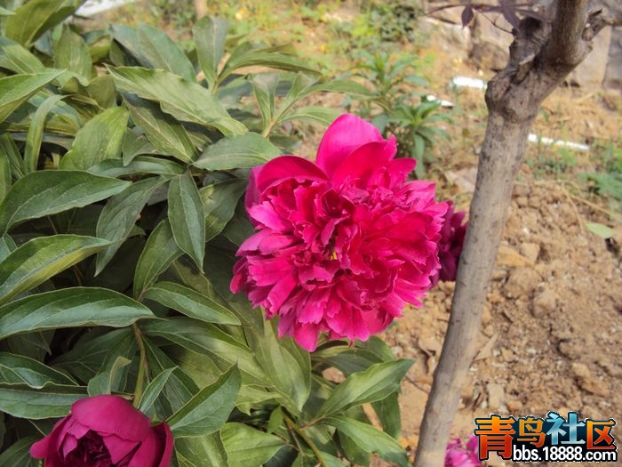 照片 我的照片3 156.jpg