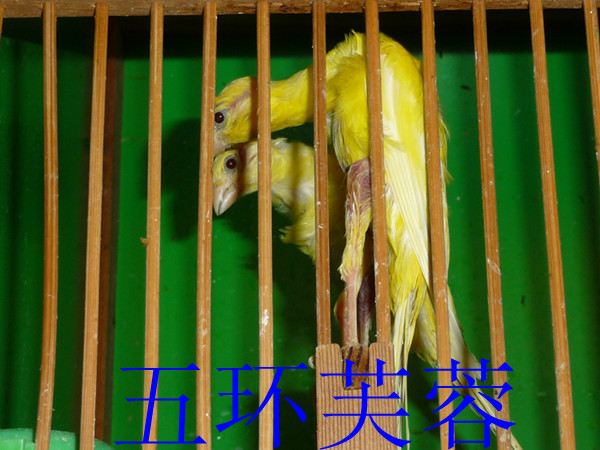 P1040710_副本.jpg