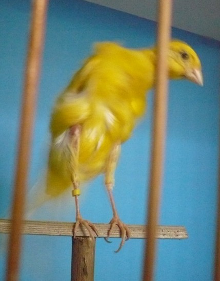 P1020823_副本.jpg