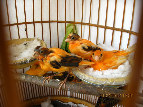 IMG_2667p.jpg