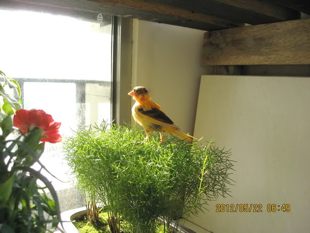 IMG_2711a.jpg