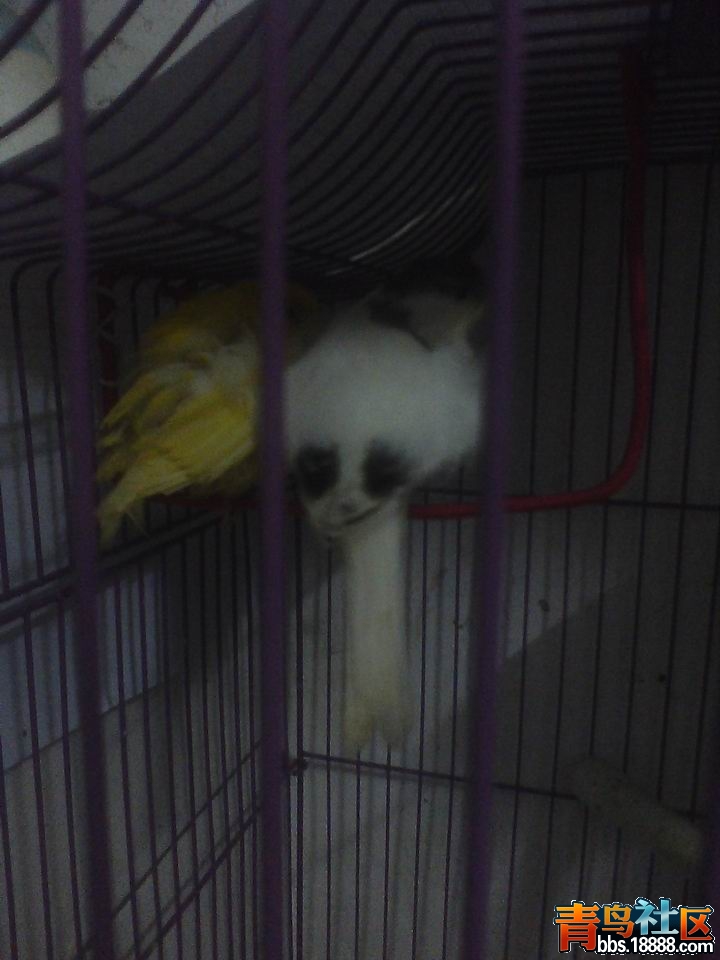 IMG0511232200.jpg
