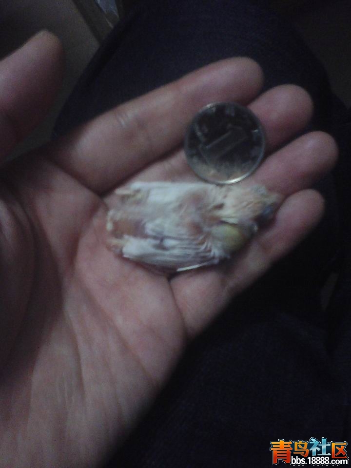 IMG0514202304.jpg
