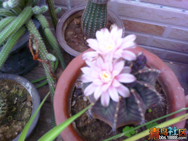 IMAGE_00641_副本.jpg
